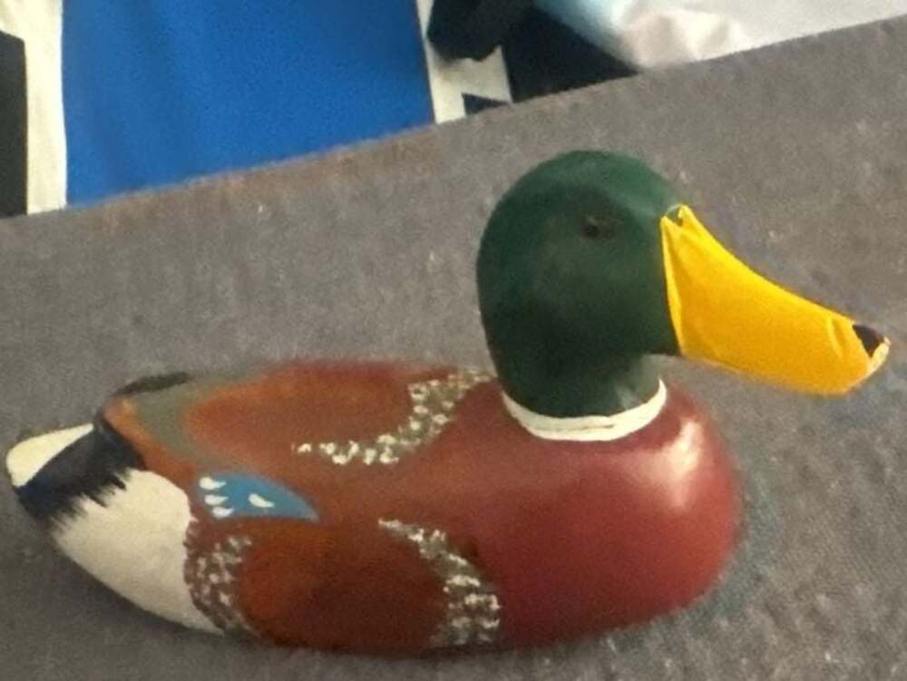 Vintage Duck Decoy Wood Hand Painted With Glass Eyes Unmarked Wooden Patina